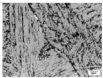 Figura 3. 5 - Microscopia ótica, aço 0,13%C - 1,60%Mn 0,48%Mo. Região da zona afetada pelo calor aquecida até à zona intercrítica do aço. Matriz ferrítica em fundo cinza.