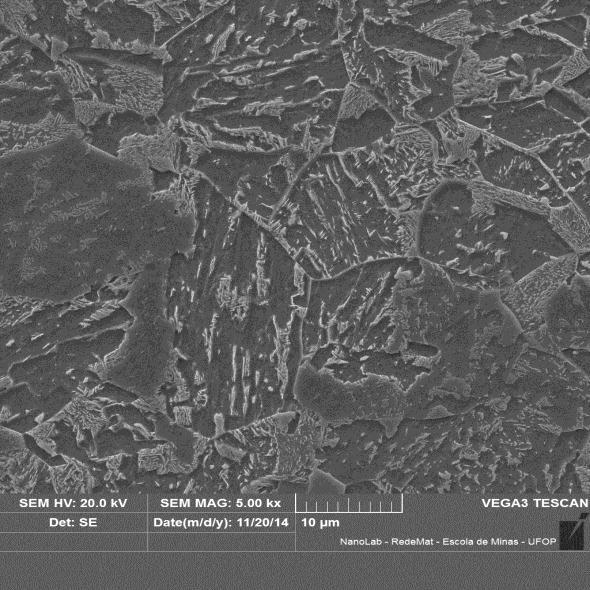 CAL): (a) e (b) microscopia óptica; (c) e (d) microscopia