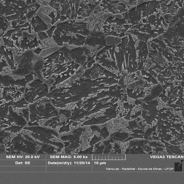 CAL): (a) e (b) microscopia óptica; (c) e (d) microscopia