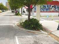 EXEMPLOS DE INICIATIVAS Medidas de Acalmia de Tráfego Traffic Calming Program Descrição da iniciativa Sarasota é uma cidade do estado da Florida, E.U.A. com cerca de 53 000 habitantes.
