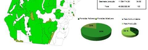 20% do território paraense 17,8 milhões de há de florestas públicas 65,6% são florestas