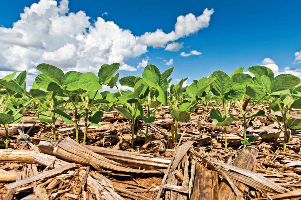 MANEJO RESPONSÁVEL A Embrapa Soja defende e orienta sobre práticas de manejo responsável que vão desde a semeadura à pós-colheita da soja.