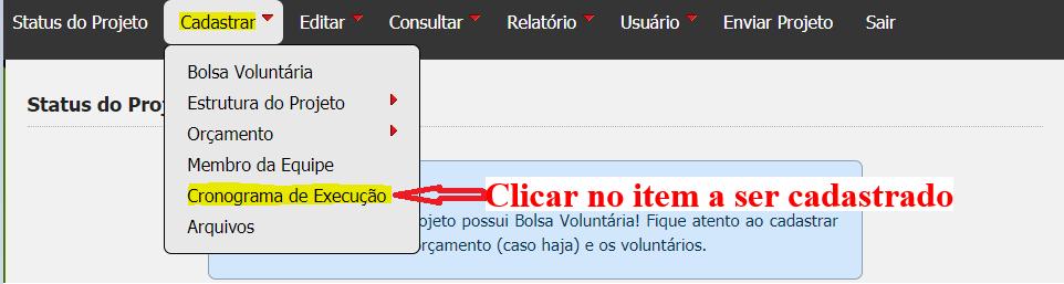 b) Informar nos campos em branco as informações do orientador tais como: e-mail, telefone etc.