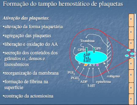 PLAQUETAS