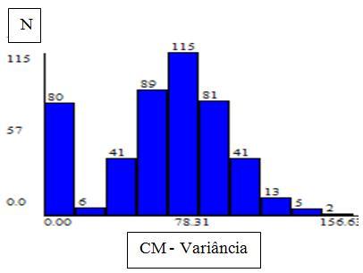 A Figura 7 apresenta o mapa da variância das 50 simulações realizadas e o histograma das incertezas associa a variável CM por DSS.