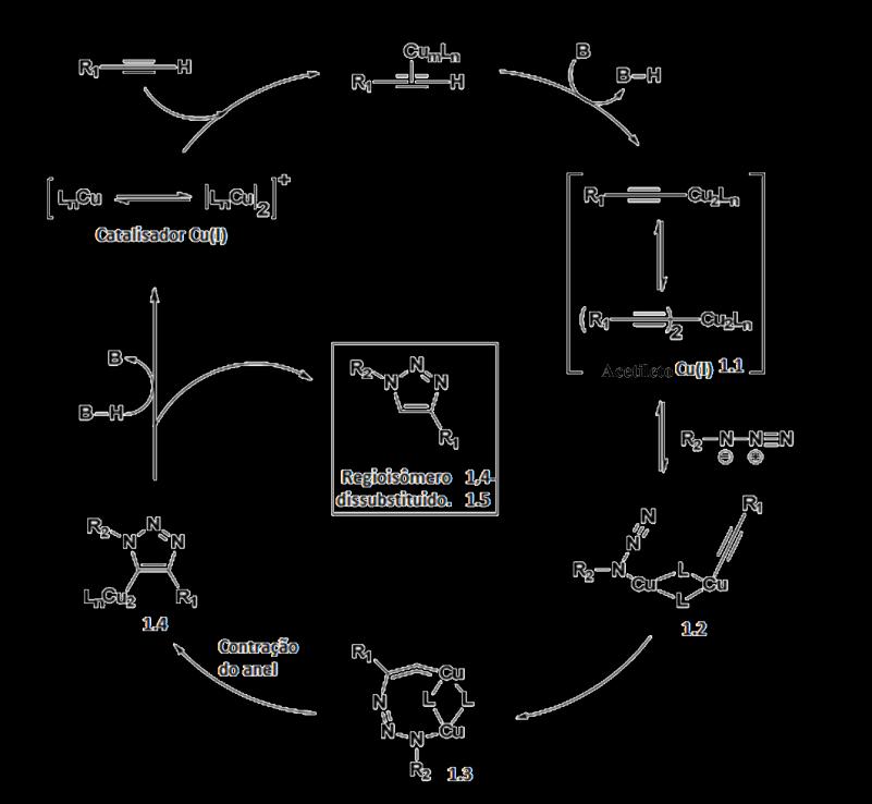 Introdução 2.1.3 Mecanismo de CuAAC Com base no estudo termodinâmico, 16 o processo de CuAAC tem sido postulado ocorrer através do mecanismo mostrado no esquema 5 passo a passo.