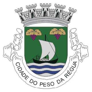 CÂMARA MUNICIPAL DE PESO DA RÉGUA REGULAMENTO E