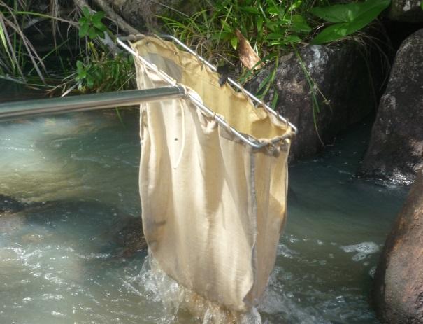 Após a coleta das amostras, o material foi fixado em etanol 70%, acondicionado adequadamente para o transporte individualizado das mesmas ao laboratório.