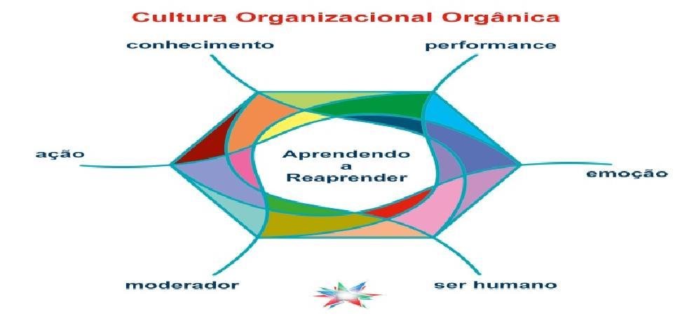 Particularidades Cultura É importante entender tanto a cultura quanto o clima organizacional e como eles influenciam o trabalho e permitem que haja mais eficiência no momento de gerenciar problemas,