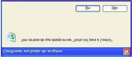 INFORMÁTICA Clique em SIM e então o arquivo será enviado para Lixeira. Esvaziando a Lixeira Ao Esvaziar a Lixeira, você está excluindo definitivamente os arquivos do seu Disco Rígido.