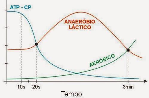 Sistema ATP CP~C Suplementação de creatina melhora o desempenho físico? Estudos demonstram que: Suplementação de creatina (20gr/dia, por 5 dias) = estoques de CP muscular.