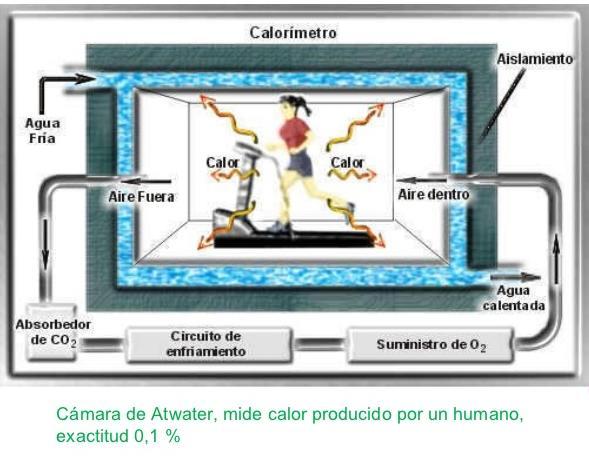 Como se calcula a energia liberada?