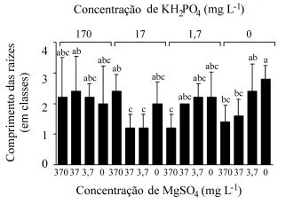 Adaptações das plantas Morfológicas e fisiológicas Crescimento (baixa concentração de nutrientes) - Ex: