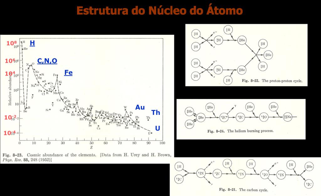 Conceitos