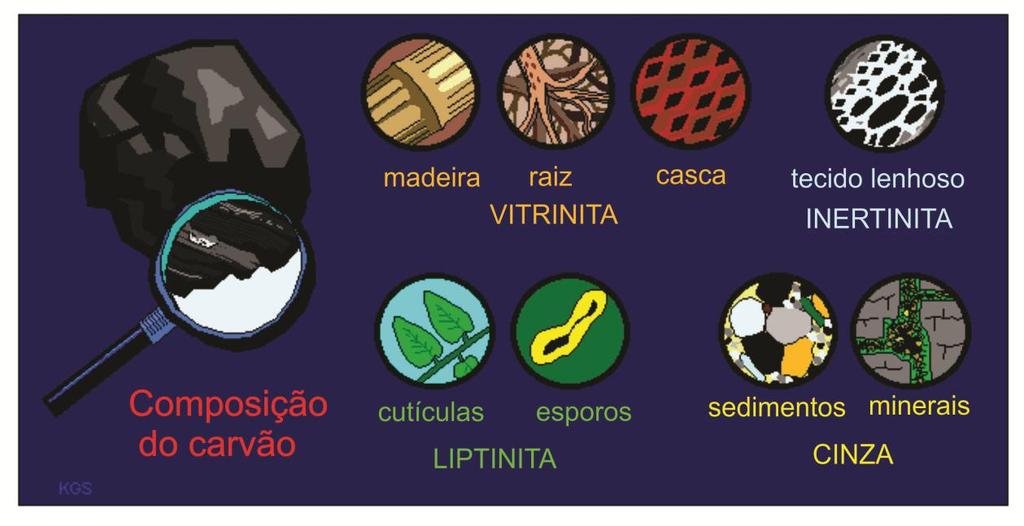 16 Figura 4: Macerais e suas origens vegetais (modificado de KGS, Disponível em: http://www.uky.edu/kgs/coal/coal_information.htmacesso em: fev.