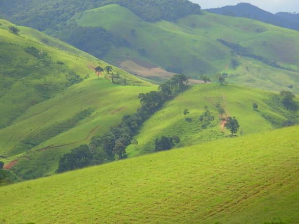 tróficas Produtividade Controle externo antrópico Risco de falha alto: Pragas, doenças Diversidade de artrópodos em vários ecossistemas Ecossistema