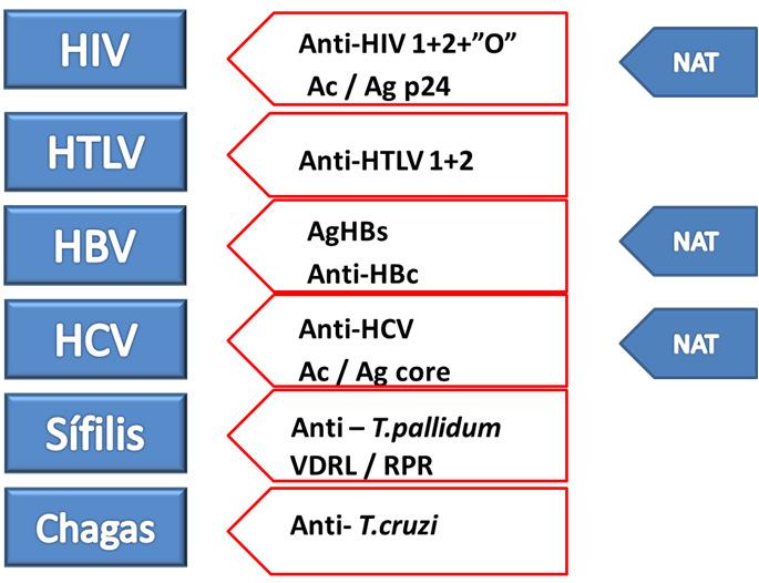 TRIAGEM EM DOADORES DE SANGUE Características dos testes sorológicos para triagem em doadores de sangue Os testes usados na triagem sorológica de doadores de sangue são Qualitativos.