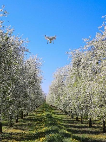 I Simpósio Ibérico de Engenharia Agrícola O Uso de Drones e Satélites na Agricultura é tema do I Simpósio Ibérico de Engenharia Hortícola, a realizar de 21 a 23 de fevereiro de 2018, em Lugo, na