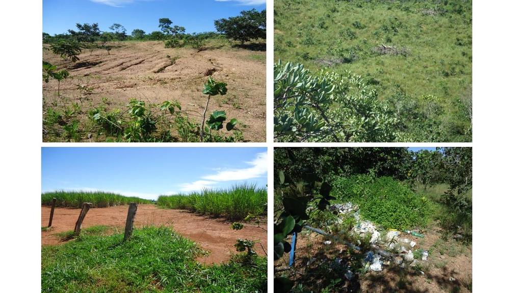 Figura 4. Tipos de uso da terra no município de Itapuranga Solo exposto Pastagem Ca