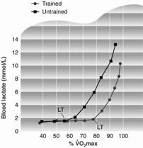 Limiar de Lactato Limiares que identificam o início do acúmulo de lactato no sangue: Início do acúmulo de lactato sangüíneo, quando a intensidade do exercício ultrapassa a 50 a 0% do VO2 max em