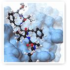 ("Structure-Based Drug Design ).