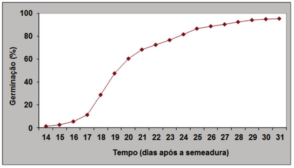 Quando secas ao sol por 4 horas, podem ser armazenadas em câmara fria por 2 anos (GUIMARÃES, 1999).