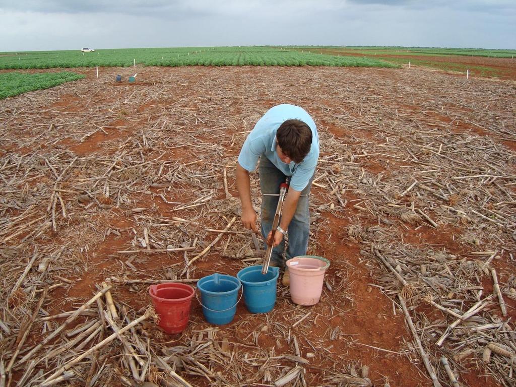 Avaliação da Fertilidade do Solo