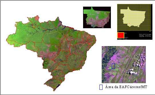 a formulação de políticas públicas que objetivam a conservação e o uso sustentável da biodiversidade (Silva et al, 2005a).