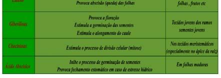 Folhas: alongamento das células Usado na horticultura para obtenção de plantas com folhas maiores elargas.