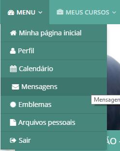 ENVIO DE MENSAGEM Para verificar e enviar mensagens o usuário deve clicar na opção Mensagens, abaixo da opção Ver perfil, conforme opção exibida na Figura 13 (a).