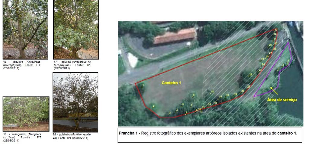 Proteção e Recuperação da Cobertura Vegetal Adequação à legislação ambiental, restauração