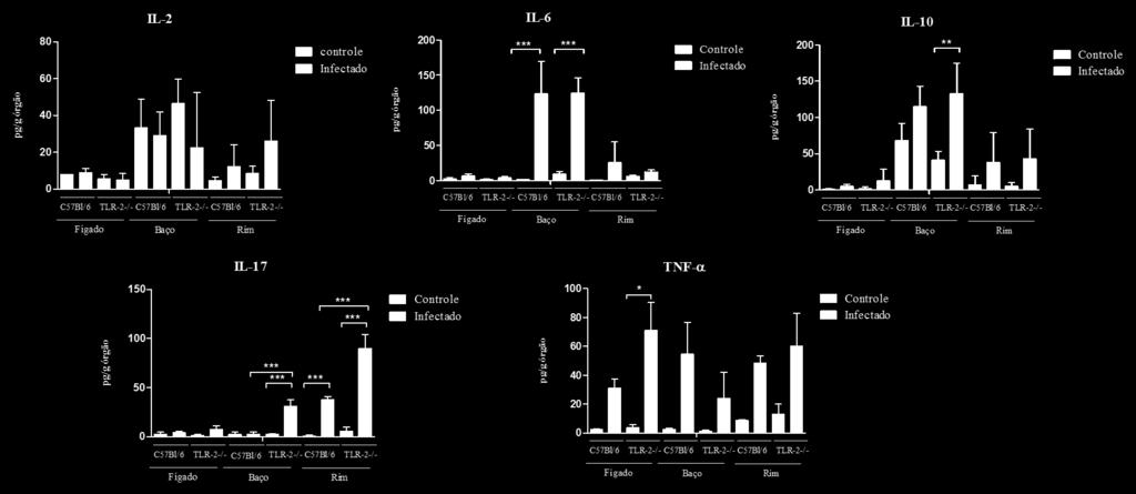 46 Figura 16. Análise da produção de citocinas na ausência do receptor TLR-2 após 28 dias de infecção com S. brasiliensis.