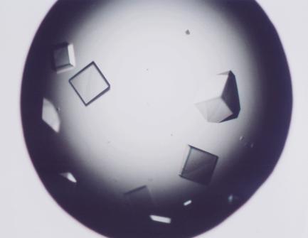 Os cristais de moléculas biológicas normalmente apresentam dimensões inferiores a 1 mm de comprimento em cada aresta. 2.