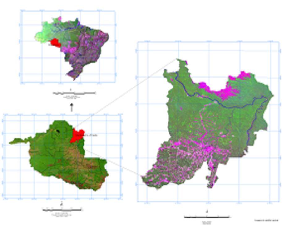 a b Figura 1. a) Localização georreferenciada do mosaico de imagens de satélite Landsat 5 e 7 de Machadinho d Oeste-RO em relação ao Brasil.