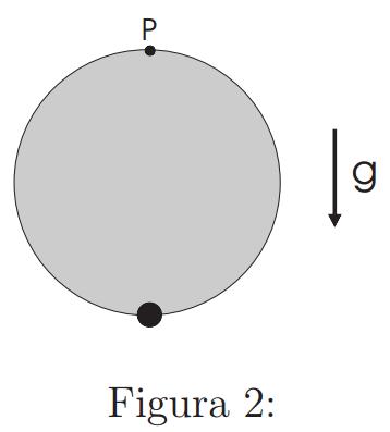 2007.1 19) Uma barata, de massa m, encontra-se sobre a borda de um disco uniforme, de massa 4m, que pode girar livremente em torno do seu centro, como um carrossel.