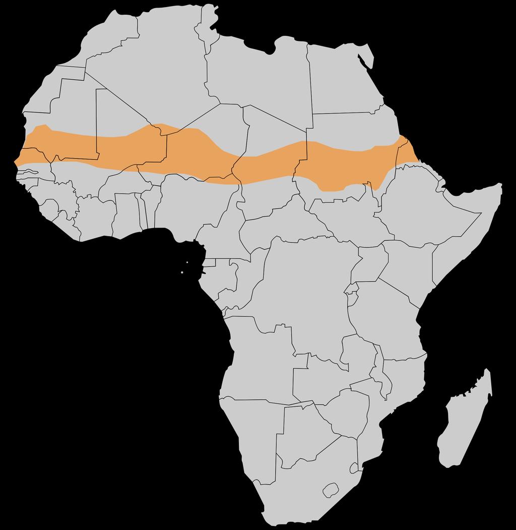África Saariana