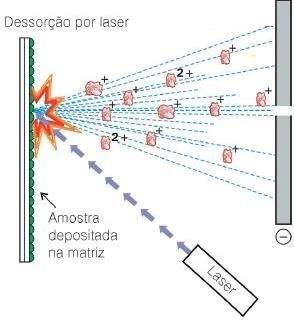 por dessorção a laser assistida por matriz TOF: