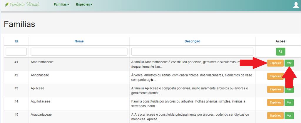 associado ao ensino de Botânica mostrou-se como uma ferramenta eficaz na disseminação