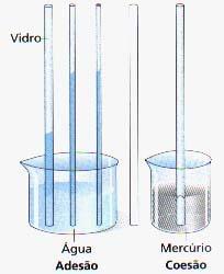 O fenómeno da capilaridade está relacionado com a tensão superficial: quando se introduz um tubo capilar em água, esta sobe