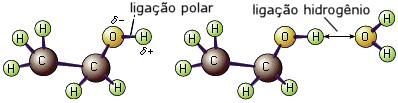 Substâncias não ionizáveis, mas polares São substâncias que contêm oxigénio ou azoto na forma de grupos O, N 2,