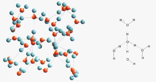 Pontes de idrogénio Cada molécula de água estabelece quatro ligações de hidrogénio com