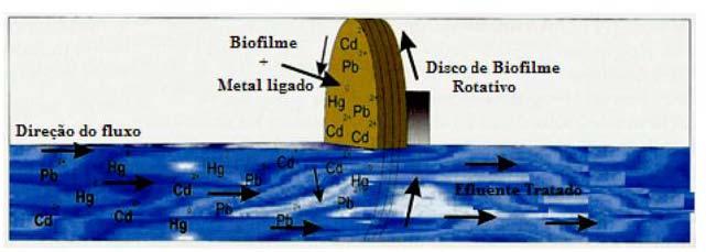 1ª Abordagem do Projeto Reator de Biodisco Rotativo (RBR) Problema: Formação de Biofilme (exopolímeros