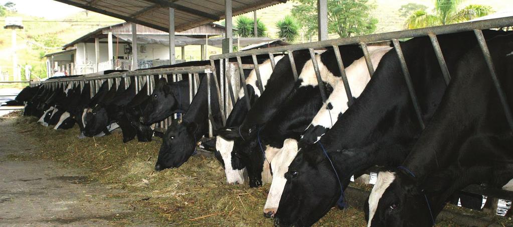 Por Caio Monteiro Custo sobe pelo 5º mês seguido e desestimula produção no campo CUSTOS DE PRODUÇÃO Os custos de produção da pecuária leiteira subiram em fevereiro pelo quinto mês consecutivo,