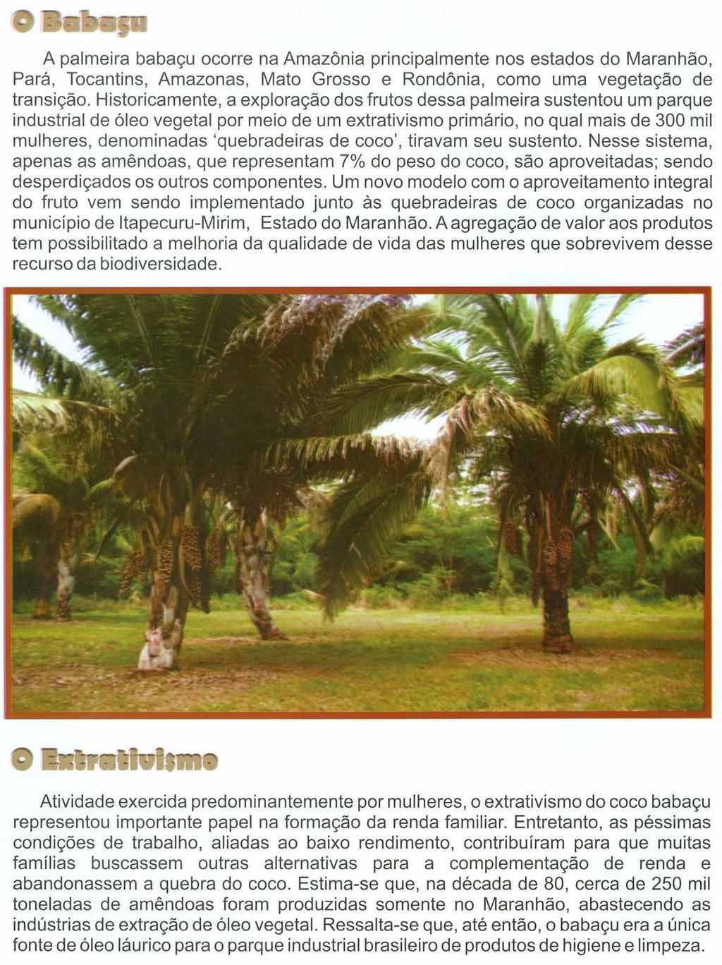 A palmeira babaçu ocorre na Amazônia principalmente nos estados do Maranhão, Pará, Tocantins, Amazonas, Mato Grosso e Rondônia, como uma vegetação de transição.