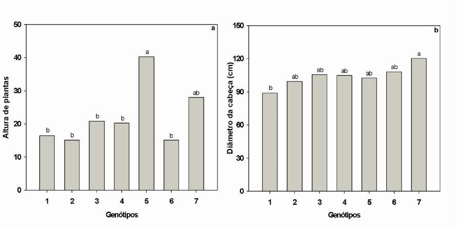 YURI JE; SOUZA RJ; FREITAS SAC; RODRIGUES JÚNIOR JC; MOTA JH. 2002. Comportamento de cultivares de alface tipo americana em Boa Esperança. Horticultura Brasileira, 20: 229-232. Tabela 1.