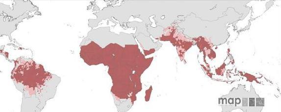 Figura 3- Mapa mundial do risco de transmissão de malária por P. falciparum definido pela incidência anual do parasita em 2007 (55), obedecendo aos mesmos parâmetros de cor do mapa acima.