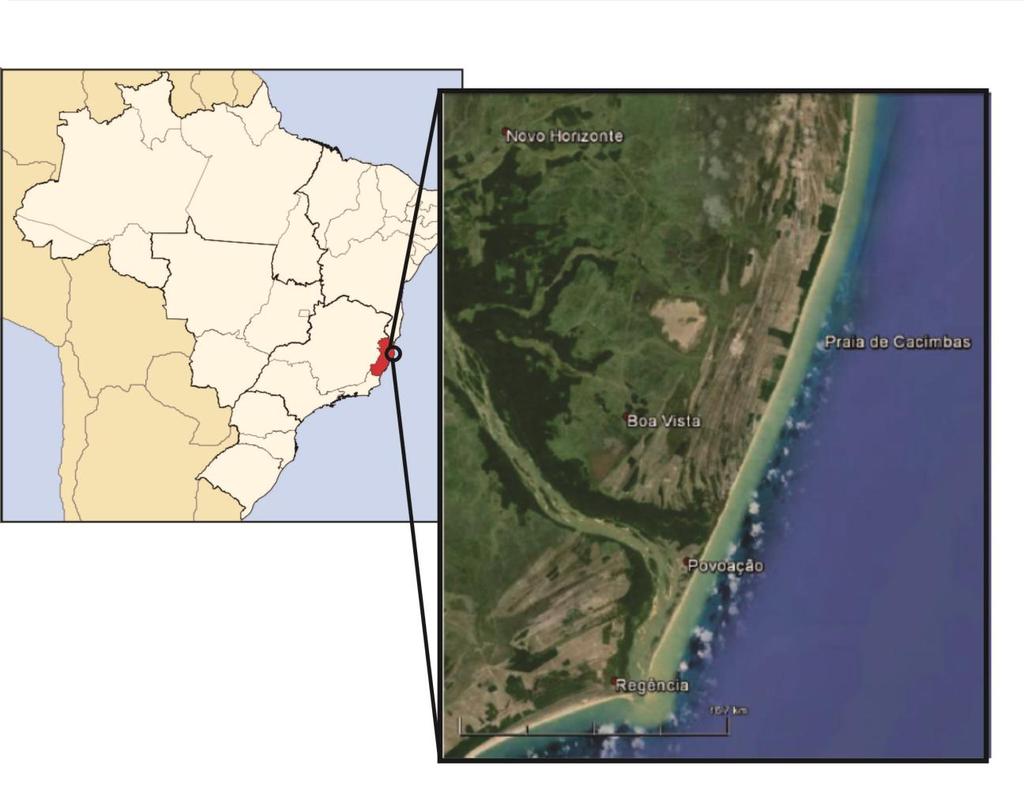 29 Camarupim. A área de estudo localiza-se no município de Linhares-ES, praia de Cacimbas, ao norte da foz do Rio Doce. A Figura 7 apresenta a localização da praia de Cacimbas.