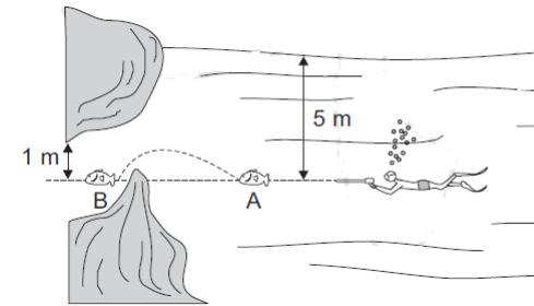 5) (Unicamp SP) Um mergulhador persegue um peixe a 5,0 m abaixo da superfície de um lago. O peixe foge da posição A e se esconde em uma gruta na posição B, conforme mostra a figura.