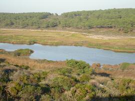 FOTOS DOS HABITAT