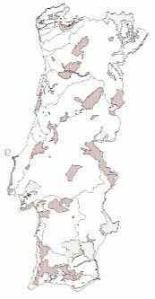 Para melhor gestão dos trabalhos de campo, a área de estudo está dividido em quatro Zonas de amostragem(figura 3): a Zona 1 Norte (327817 ha), a Zona 2 - Raia Alentejana e Beirã (348769 ha), a Zona 3